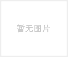 精品，嘉善宝林轴承专业CBL-20 边界润滑轴承